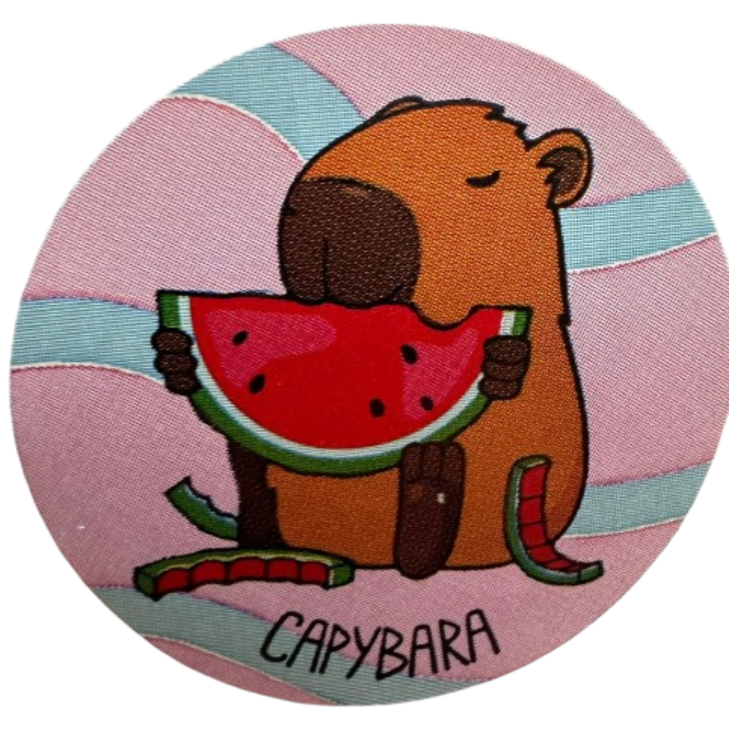 Sticker Capibara 6 Diseños 38mm 100un-3