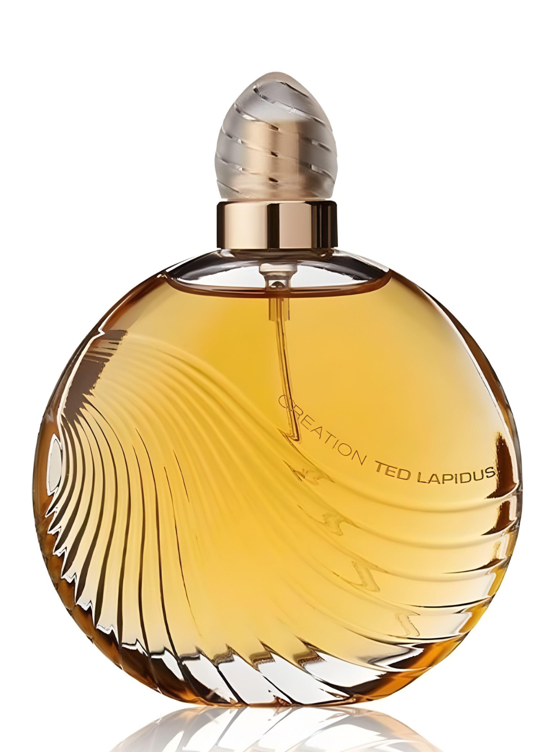 PERFUME  CREATION EDT 100ML-0