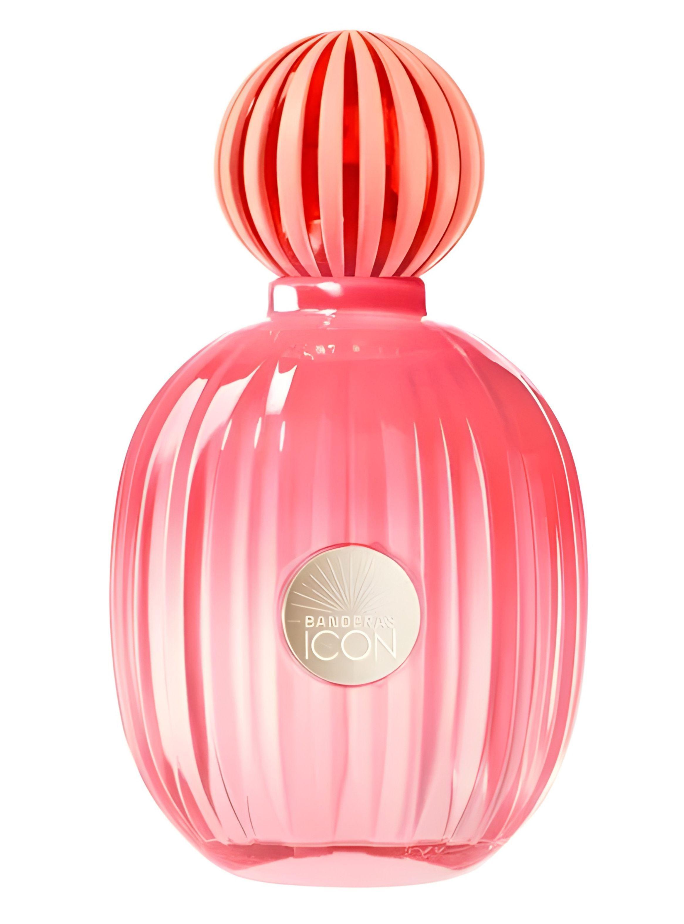 PERFUME ANTONIO BANDERAS THE ICON SPLENDID EDP 100ML-0