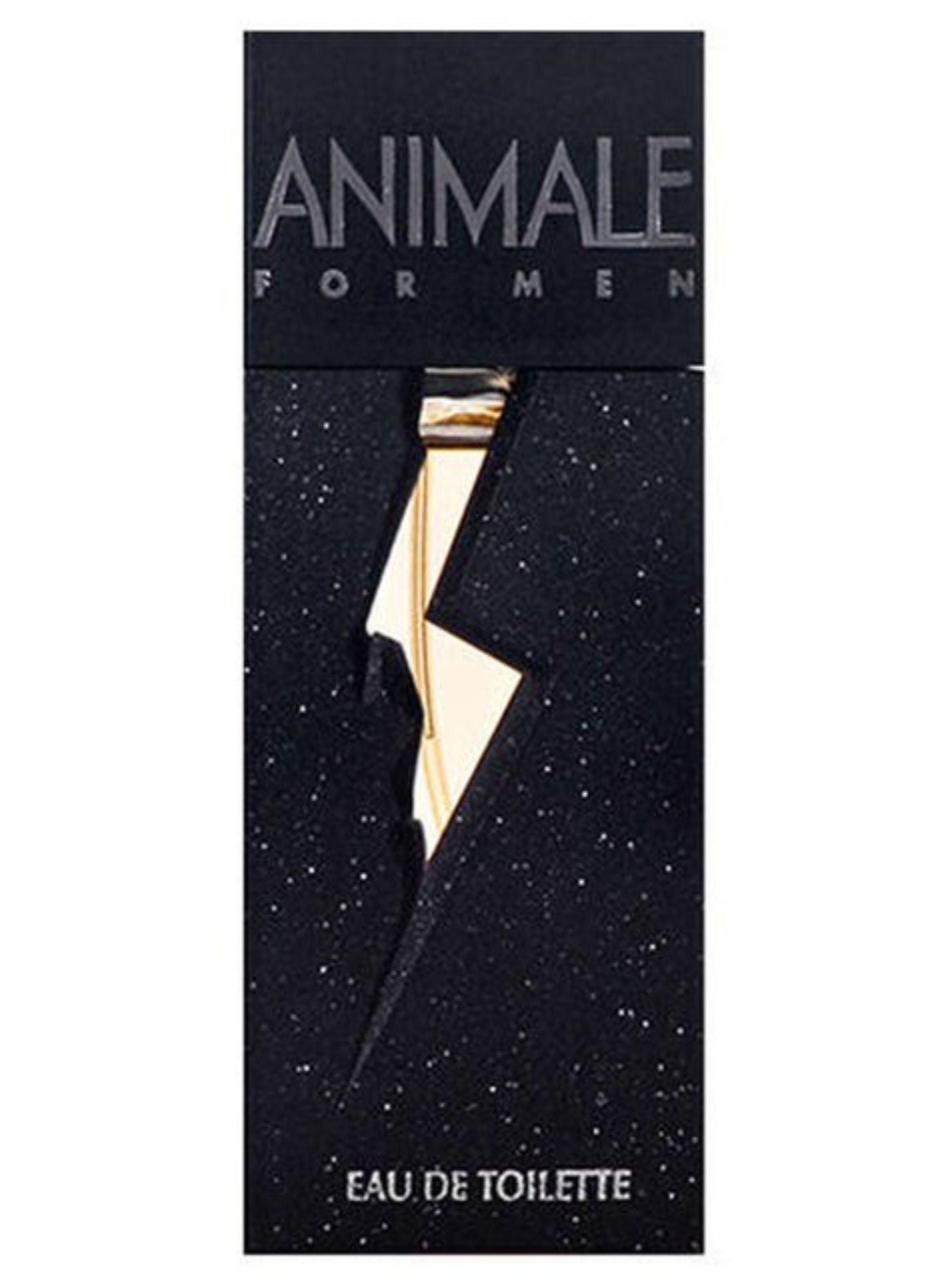 PERFUME  Animale Men Edt 100ml-1