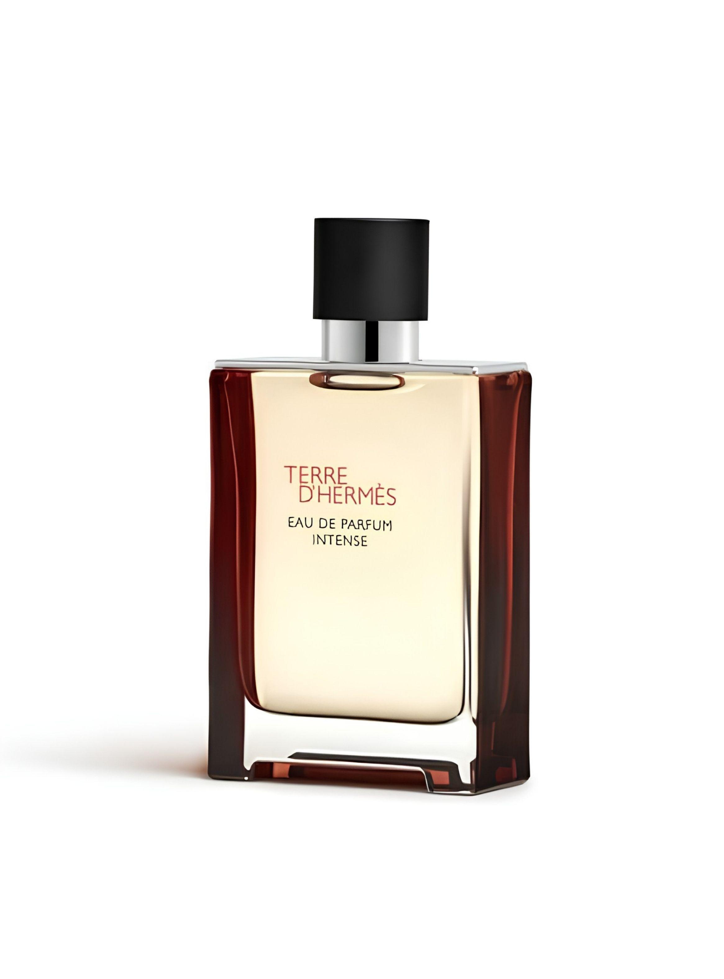 PERFUME TERRE D'HERMES INTENSE EDP 100ML-1
