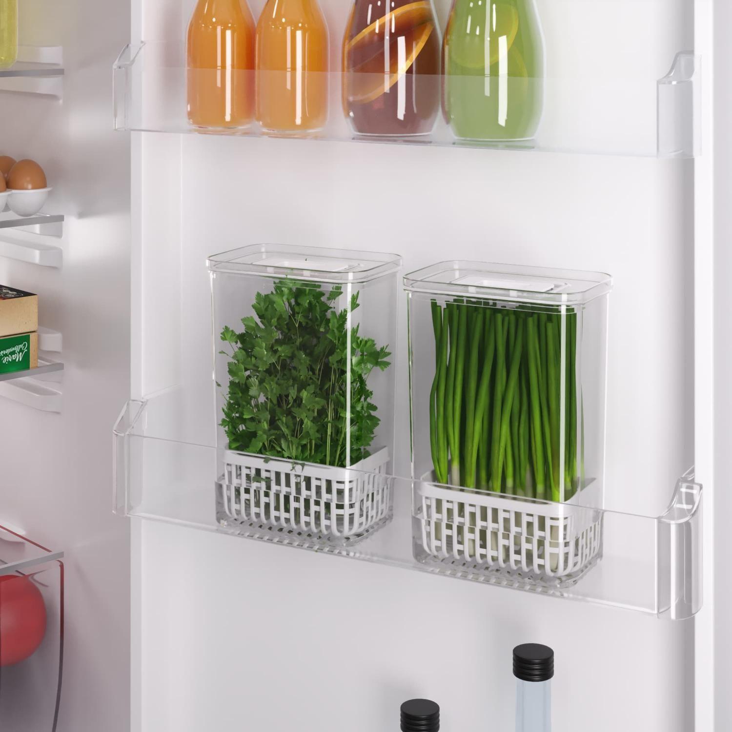 Organizador para Especias Frescas Dry 2,3 L Cristal -2
