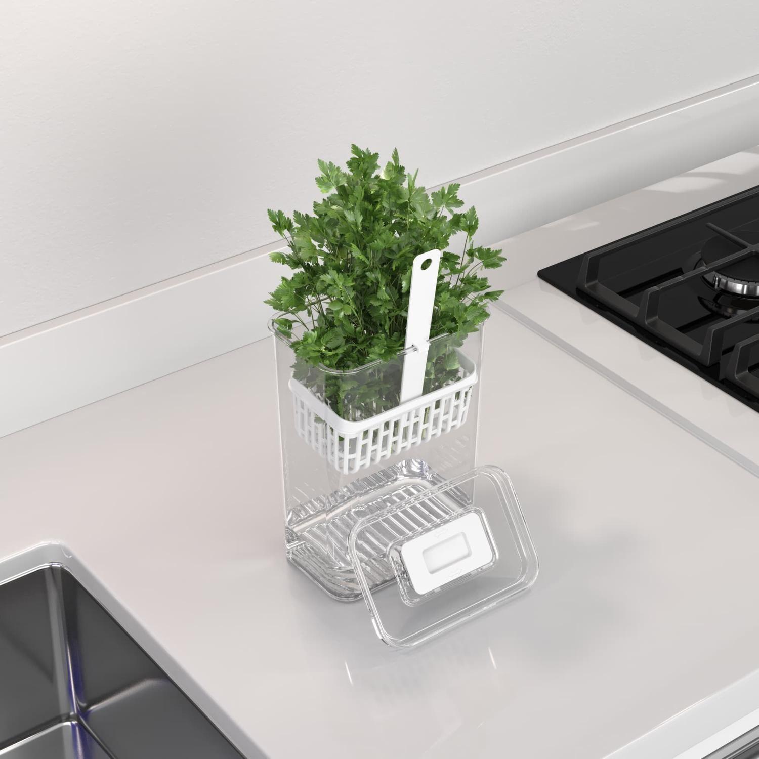 Organizador para Especias Frescas Dry 2,3 L Cristal -4