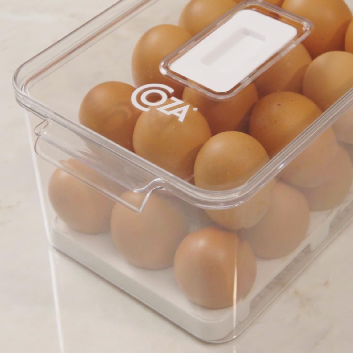 Organizador de Huevos con Tapa Dry 24 Unidades -7
