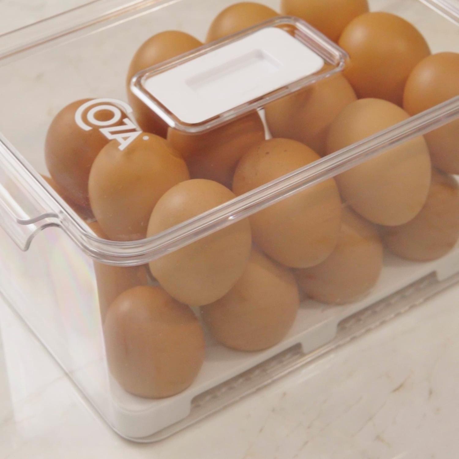 Organizador de Huevos con Tapa Dry 24 Unidades -8