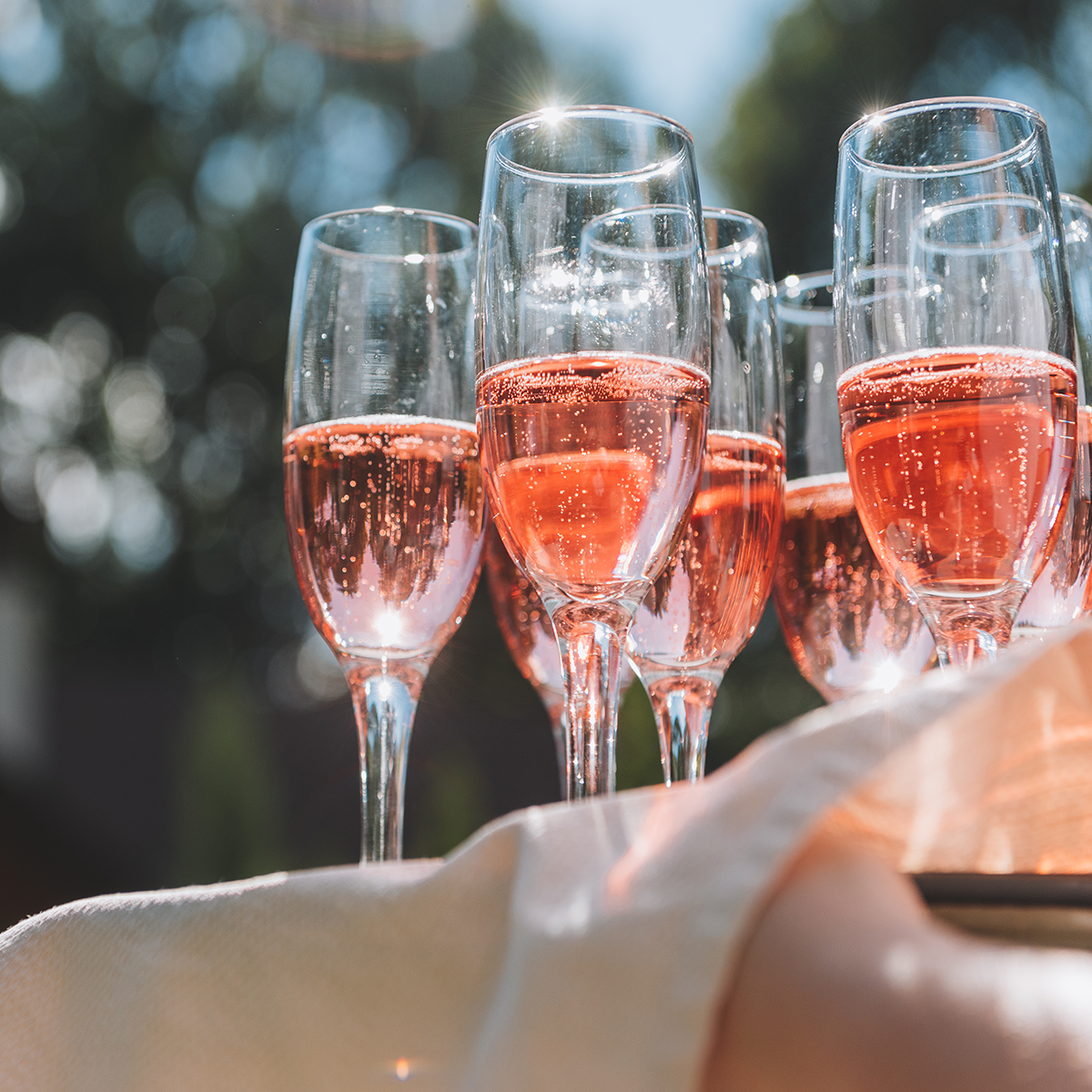 SET DE 6 COPA CHAMPAGNE 180 ML. LÍNEA SOMMELIER-2