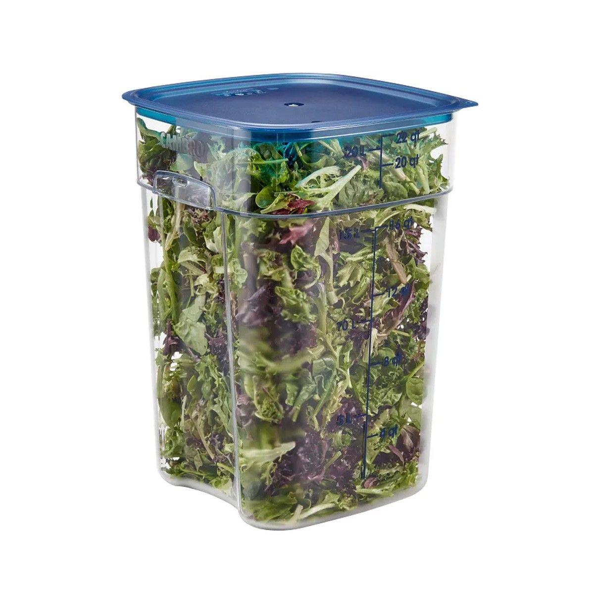 TAPA AZUL RECIPIENTES POLICARBONATO GRADUADOS 12, 18 Y 22 LITROS-2