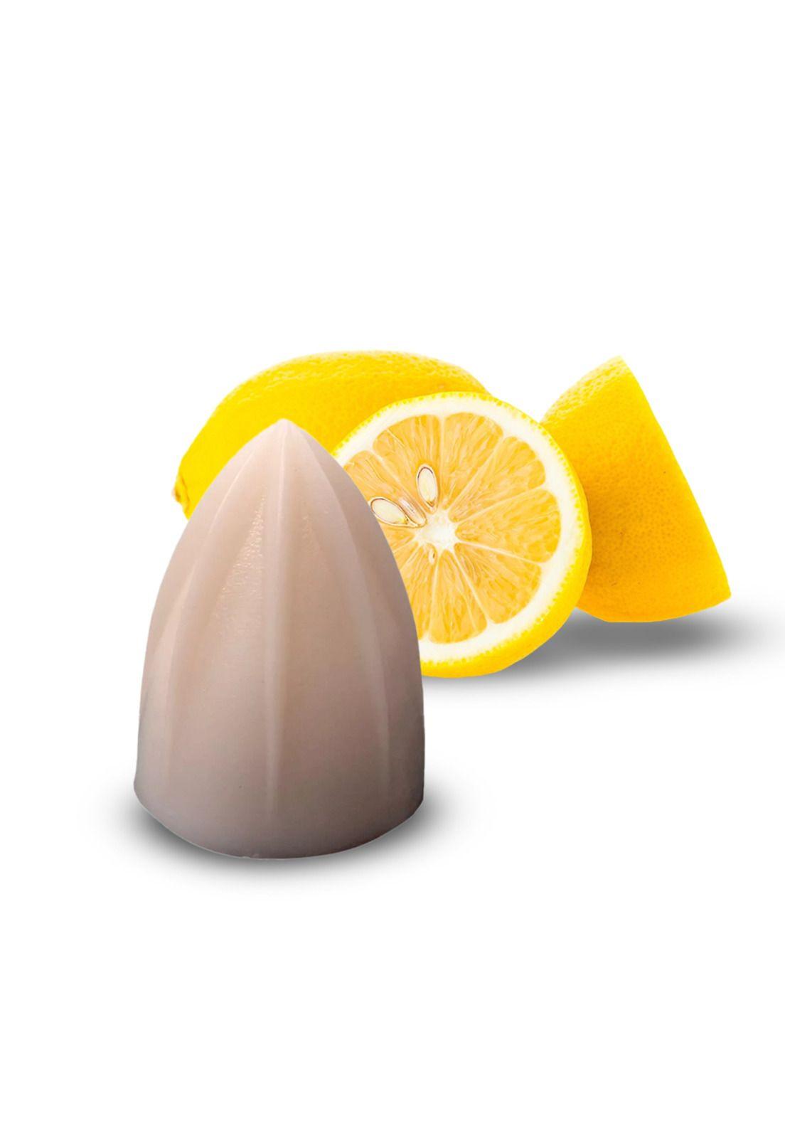 Repuesto Castaña Para Limon Para Exprimidor Skymsen Sky-0