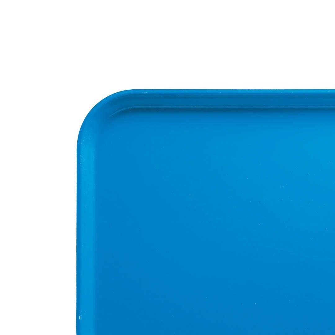 BANDEJA FIBRA DE VIDRIO 30X40 AZUL HORIZONTE-2