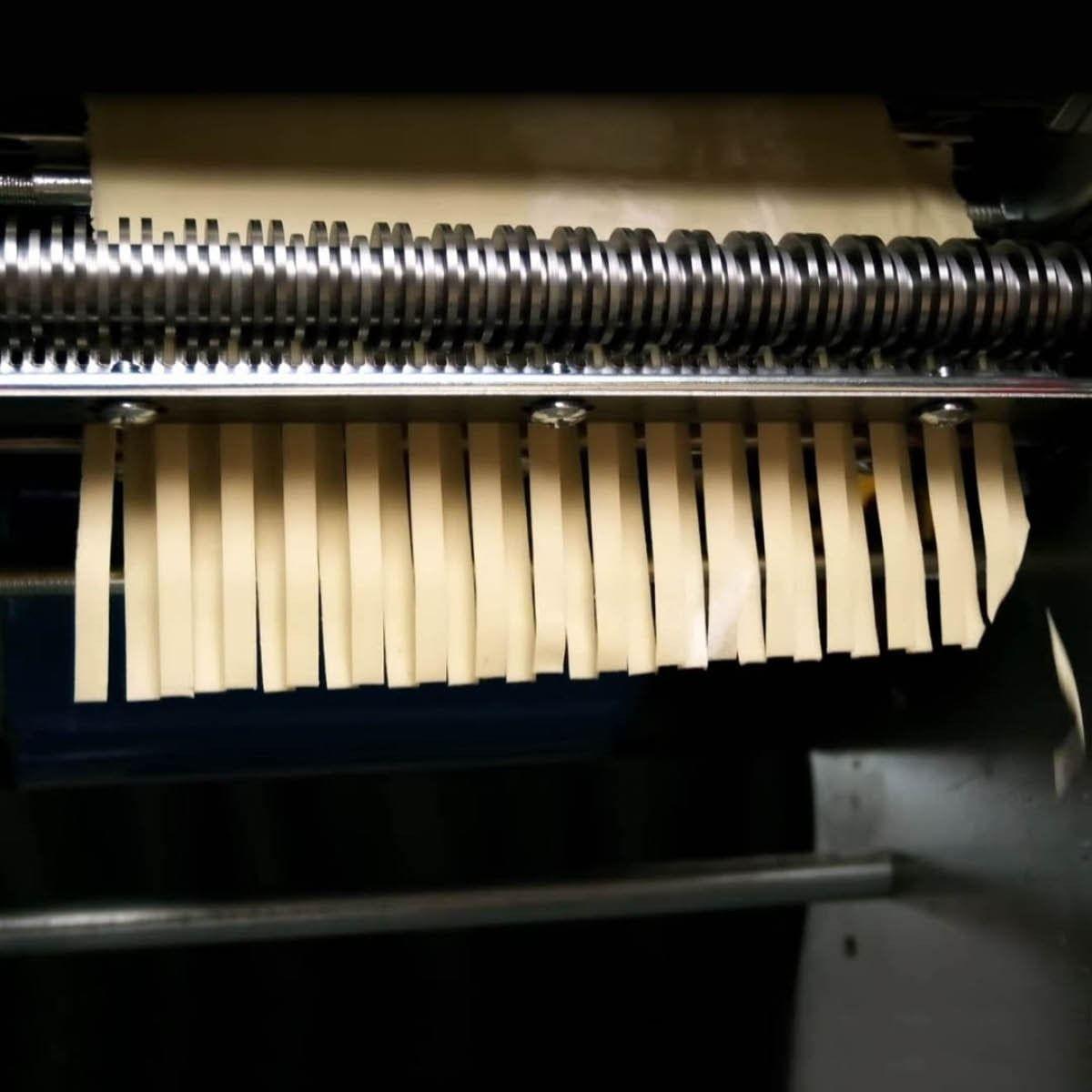 MAQUINA LAMINADORA Y CORTADORA DE PASTAS DHH200C VOLTER-2