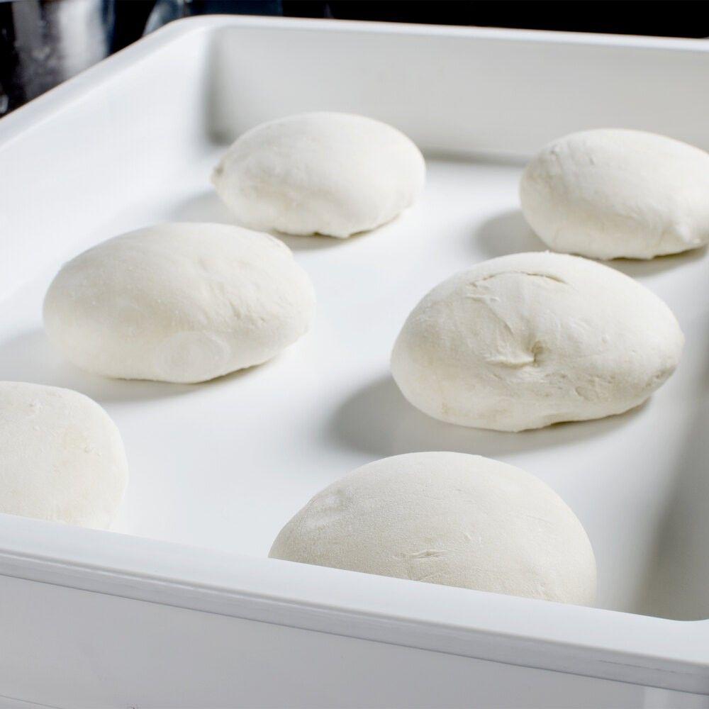 CAJA DE FERMENTACIÓN CON TAPA 65.5 X 45.5 X 15 CM-8