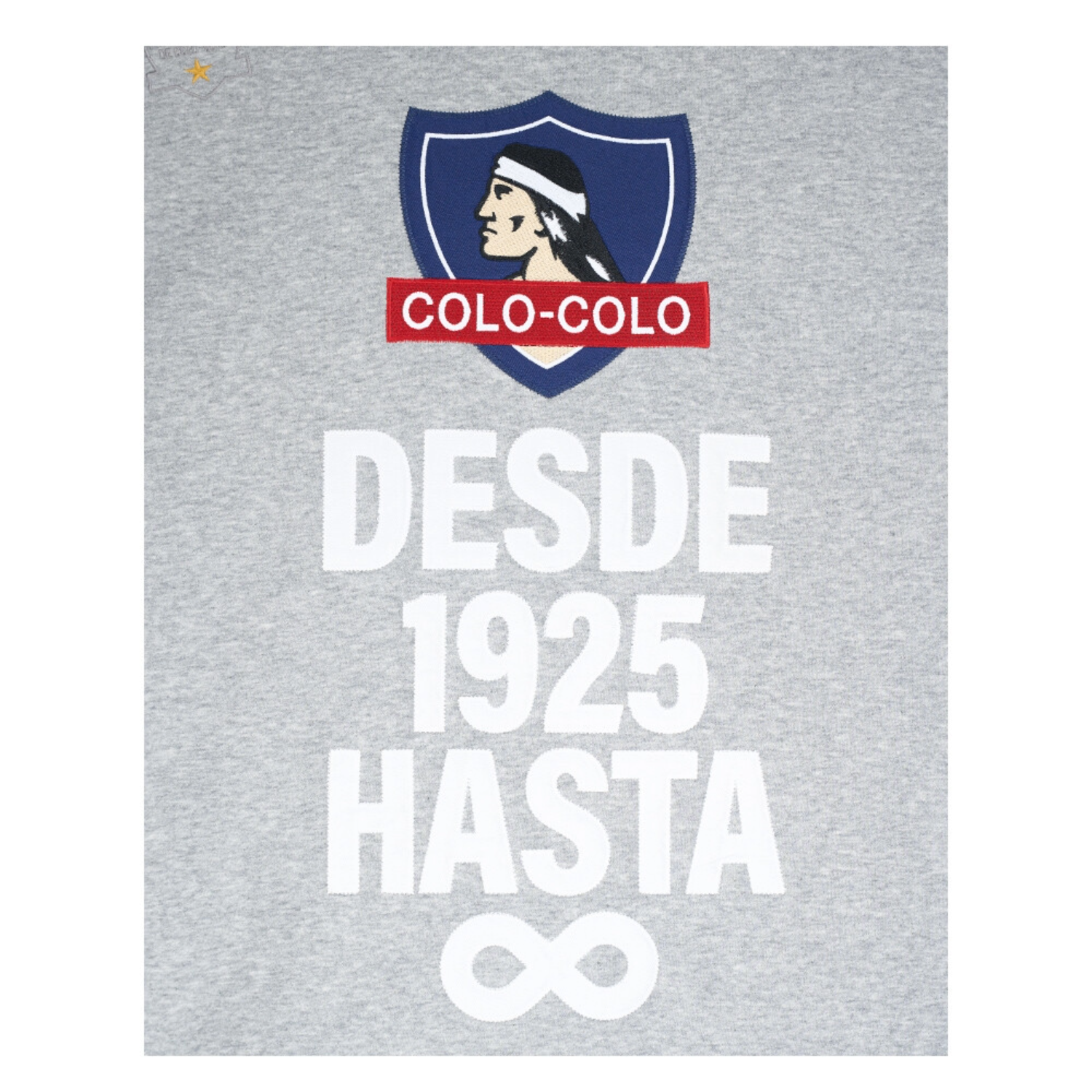 POLERON  COLO COLO URBANO HOODIE DESDE 1925 | CCPOLI2553GR-2