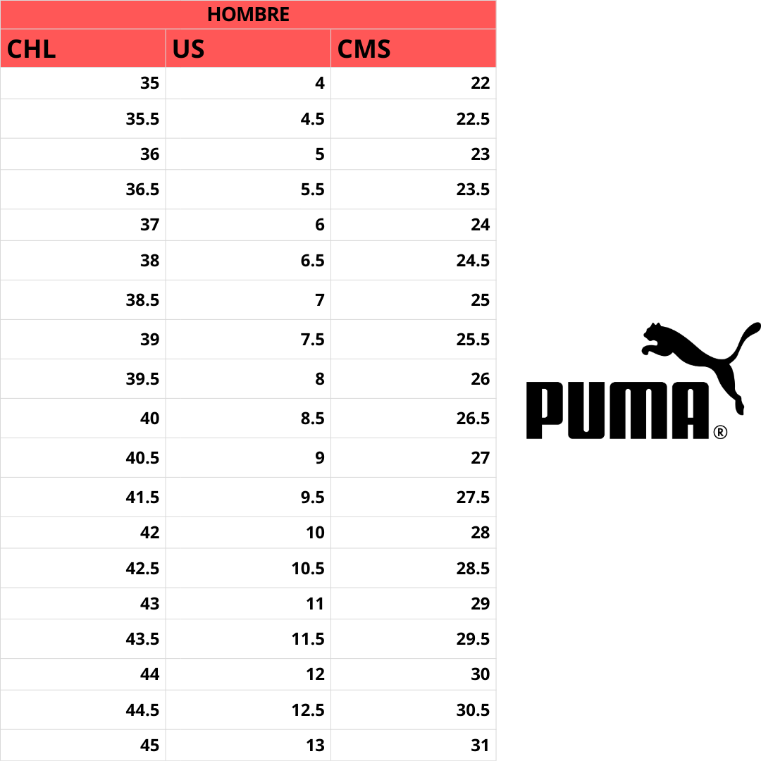 ZAPATILLAS DE RUNNING PUMA FLEXFOCUS LITE MODERN HOMBRE | 311481 01-5