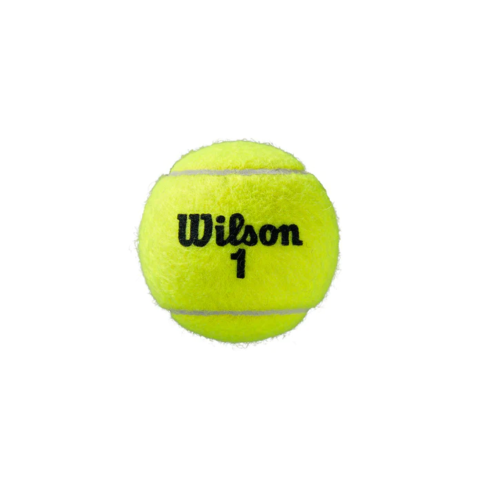 PELOTA DE TENIS ROLAND GARROS ALL CT 3 BALL II WILSON WILWR8204601001-1