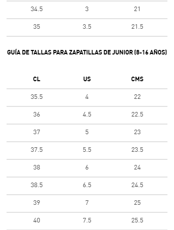 ZAPATILLAS URBANAS PUMA RICKIE JR INFANTIL | 384311 02-5