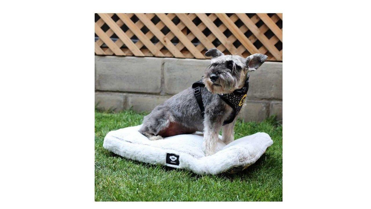Cama Mascota Perro Gato Colchon Anti Estres 90x60cm Talla L-1