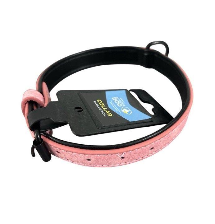 Collar Para Perro Eco Cuero Mascotas 2cm Ancho X 42cm Largo -3