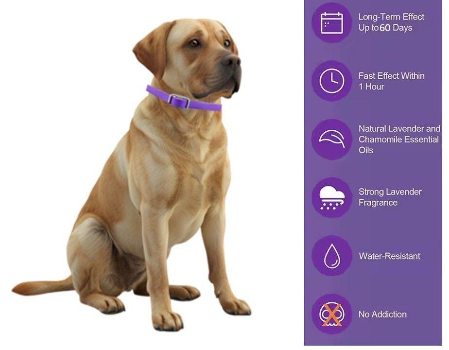 Pack 4 Collar Para Perro Con Feromonas Relajante Calmante-4