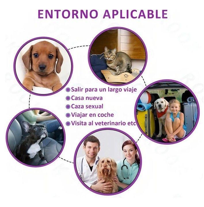 Pack 4 Collar Para Perro Con Feromonas Relajante Calmante-5