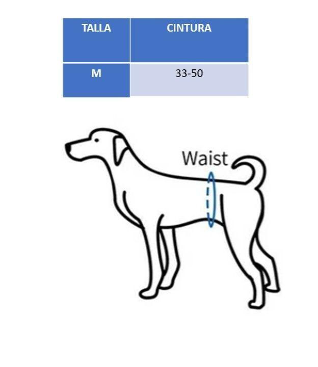 Calzón De Celo Para Perritas Lavable Talla M Raza Mediana-1