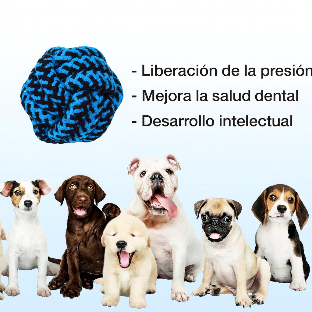 Juguete Pelota De Cuerda Masticable Duradera Para Perros-3