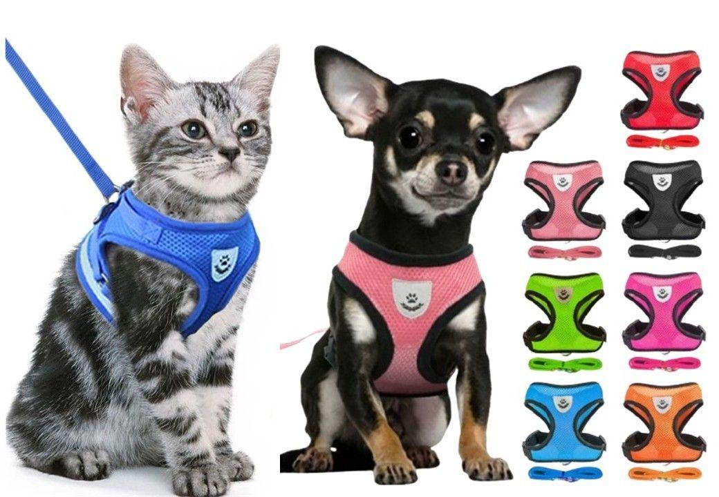 Arnés Transpirable Con Correa Raza Pequeña Para Perros Gatos-2
