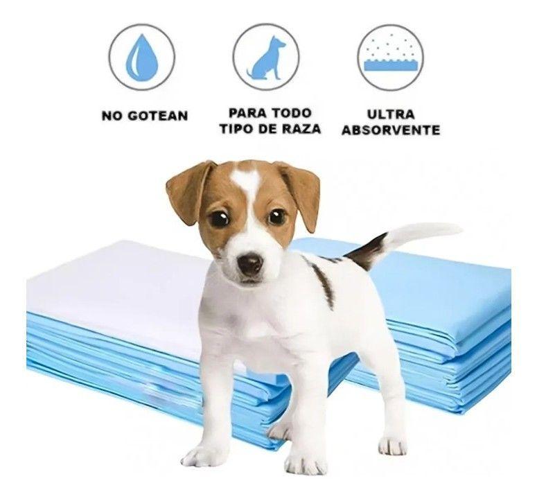 10 Pañales Sabanillas Para Perros 60x60cm Control De Olores-2