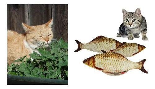 Snack Para Gatos Con Hierba Gatera Y Pescado De Océano 50 Gr-2