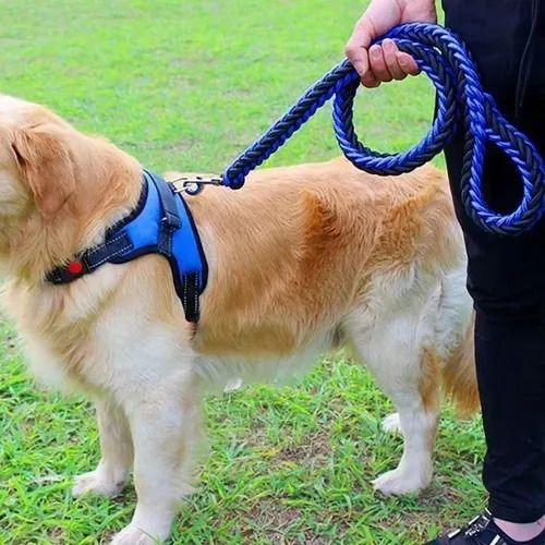 Correa Trailla Para Perros Mascotas Trenzada 3x120cm-3