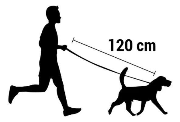 Correa Trailla Para Perros Mascotas Trenzada 3x120cm-4