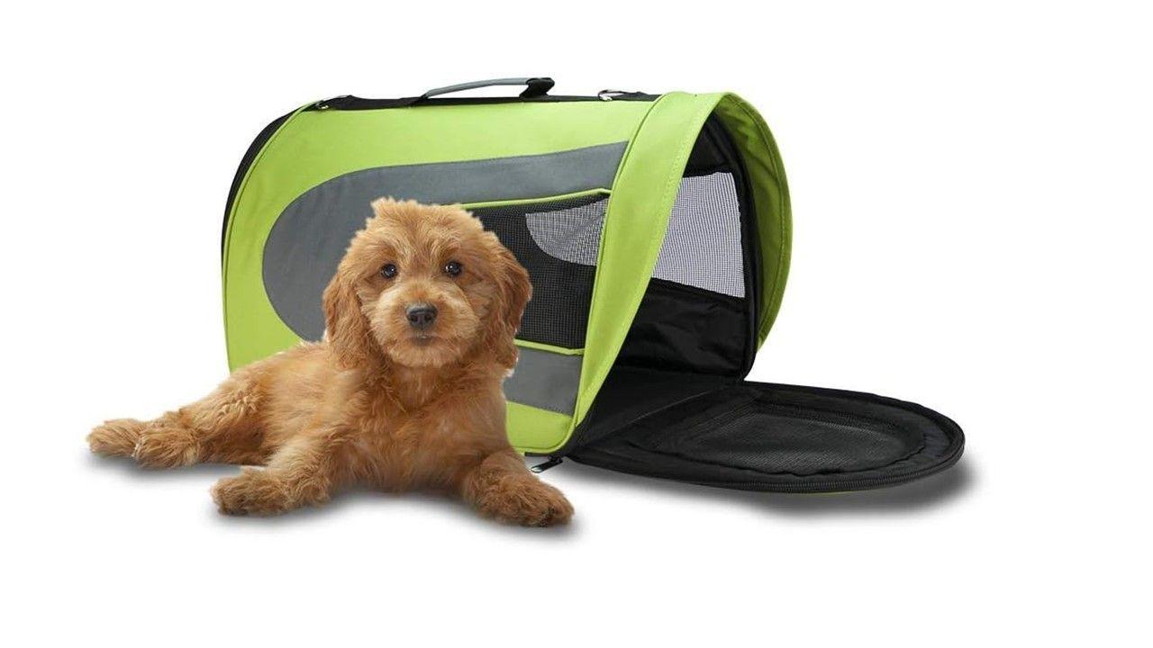 Bolso Transporte Mascotas Pequeño 36x21,5x23,5cm Verde-2