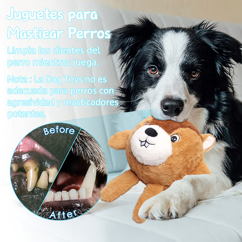 Juguete De Peluche Pelota Masticable Para Perros Mascotas-4