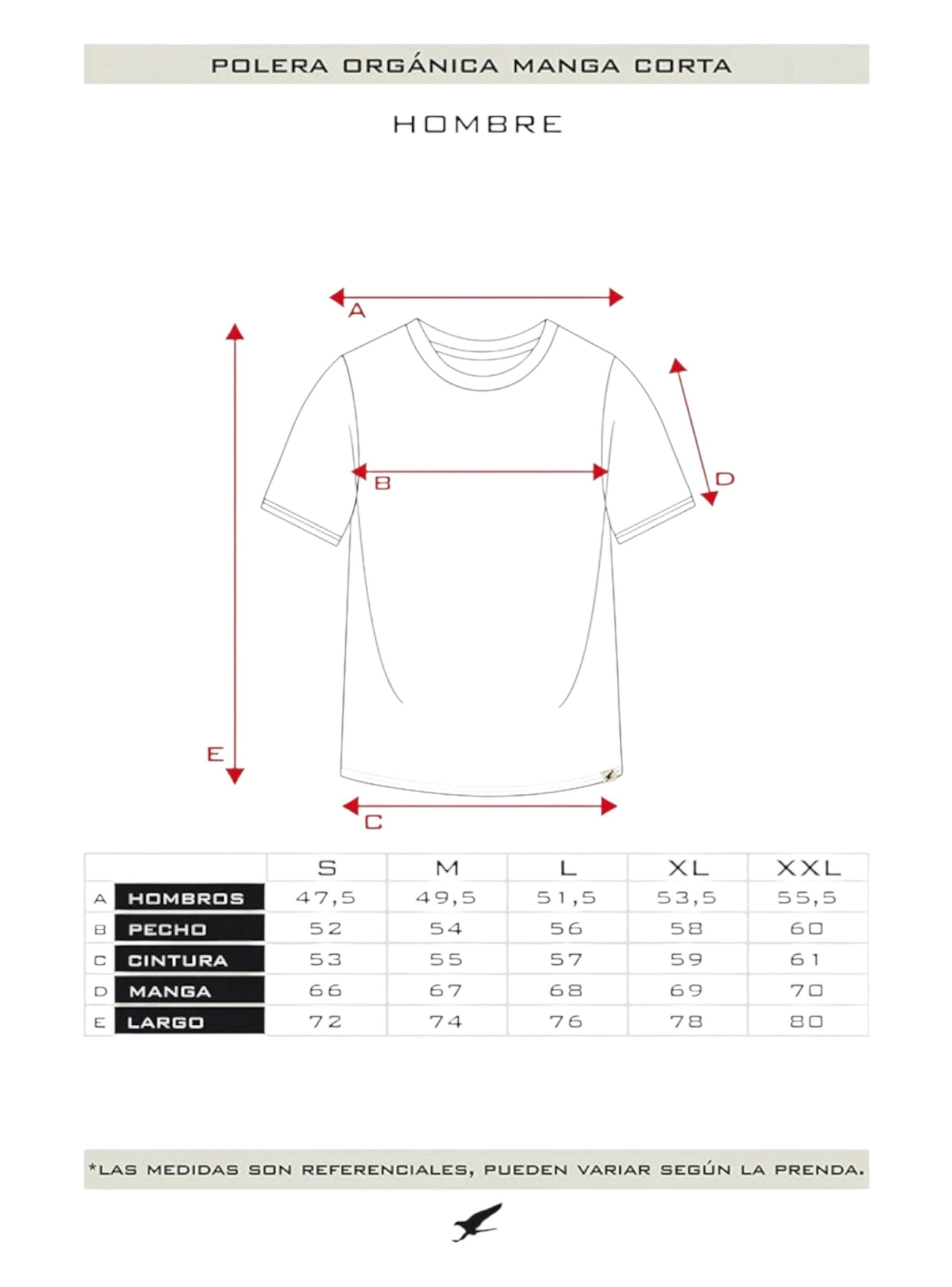 Polera Orgánica con Bolsillo Hombre Falcone-4