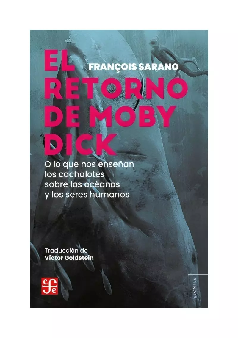 El Regreso De Moby Dick, O Lo Que Nos Enseñan Los Cachalotes Sobre Los Océanos Y Los Seres Humanos-0