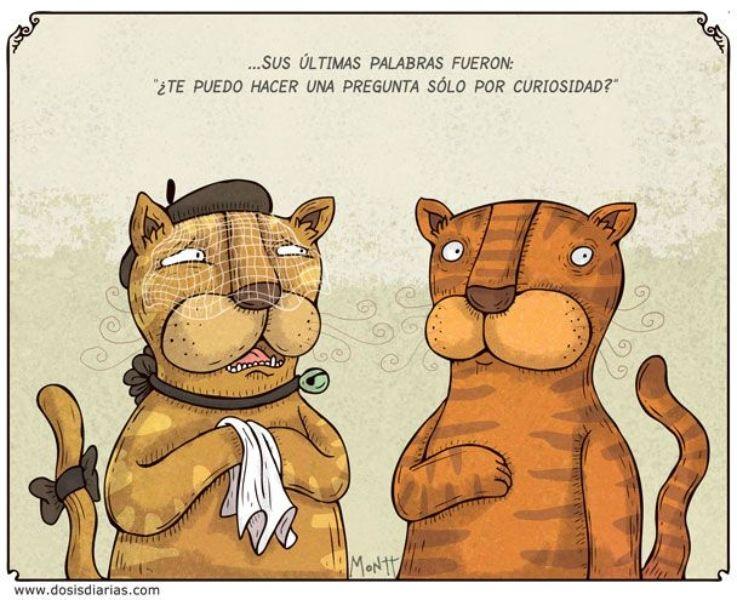 La Conquista De Los Gatos - Alberto Montt-3