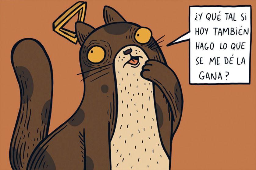 La Conquista De Los Gatos - Alberto Montt-4