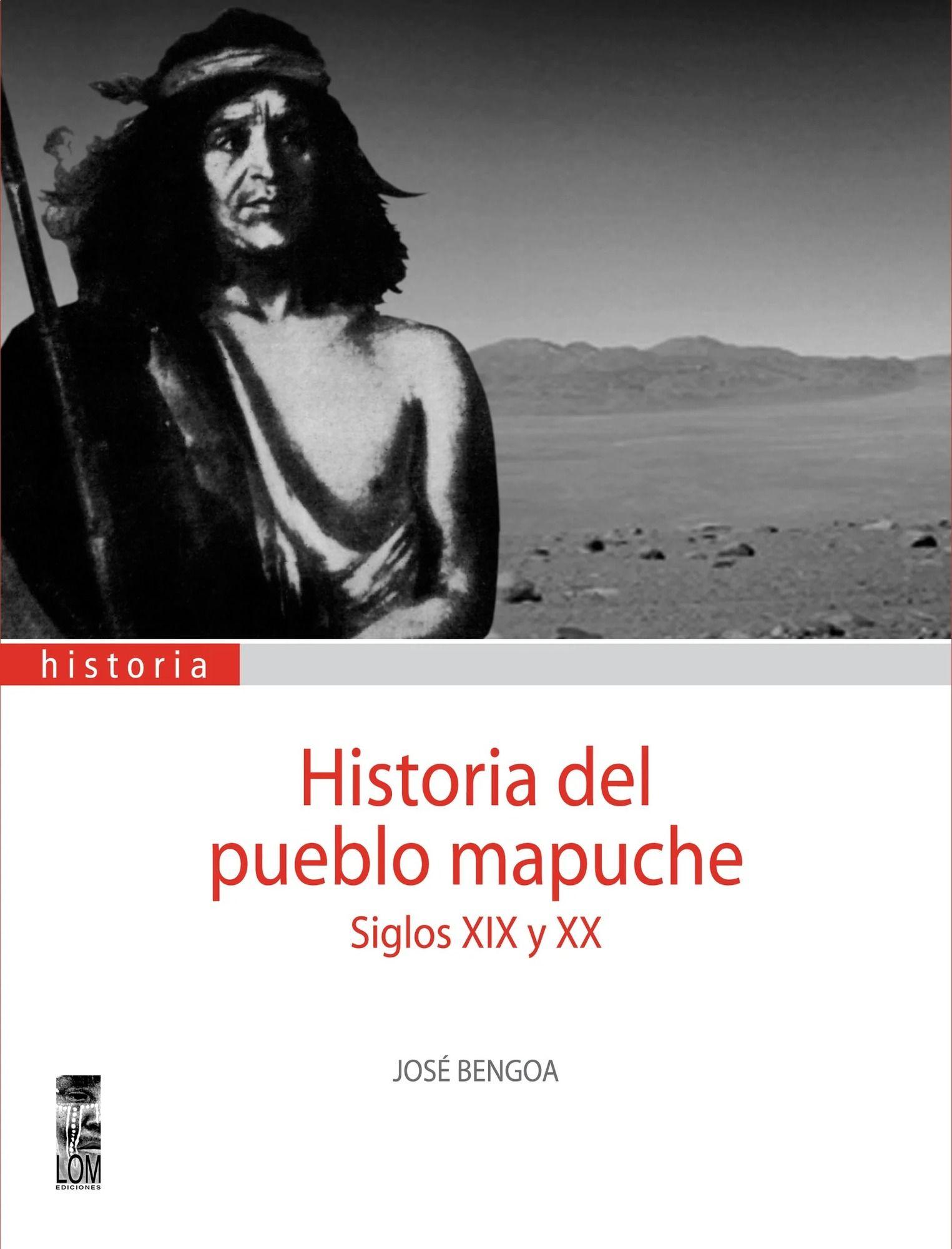 Historia Del Pueblo Mapuche. Siglos Xix Y Xx | 329-0