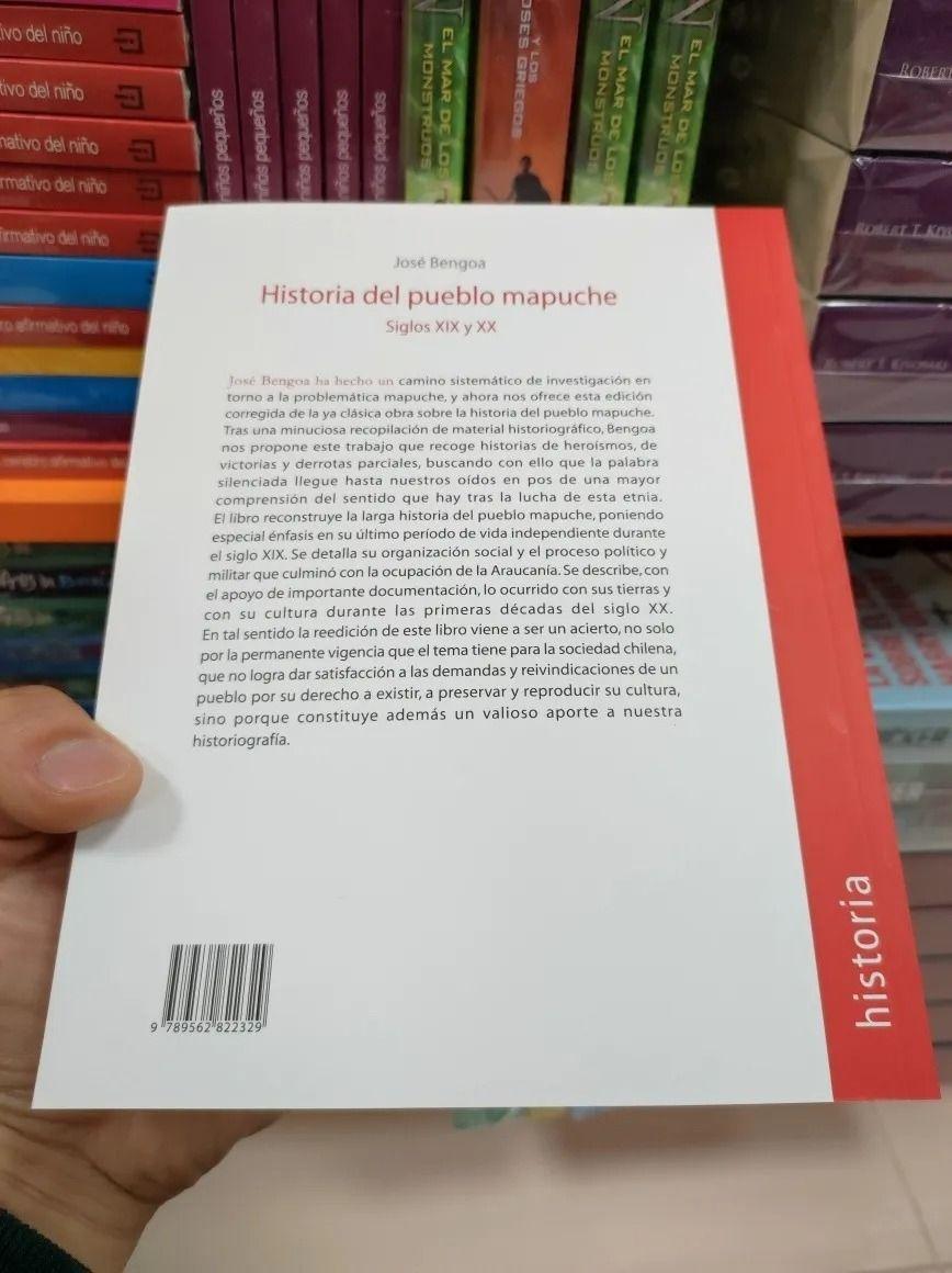 Historia Del Pueblo Mapuche. Siglos Xix Y Xx | 329-1
