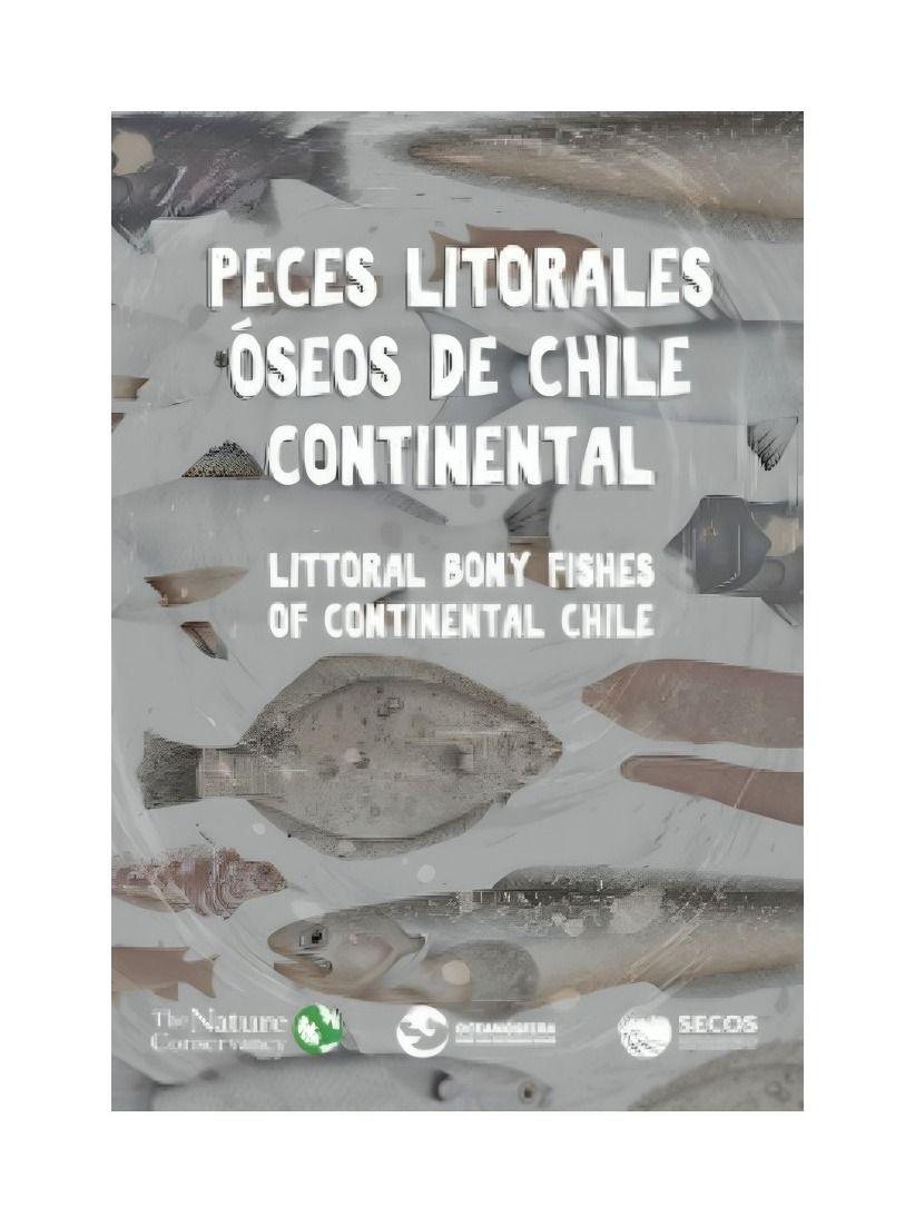 Peces Litorales Óseos De Chile Continental | 562-0