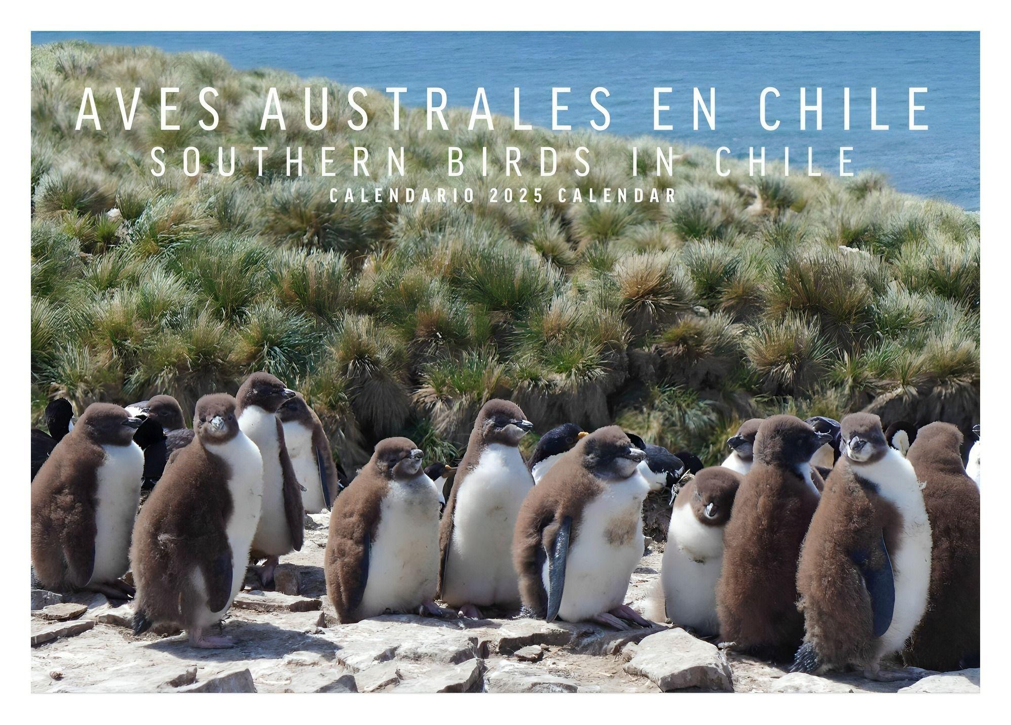 Calendario Aves Australes En Chile | Ediciones Mac Kay |-0