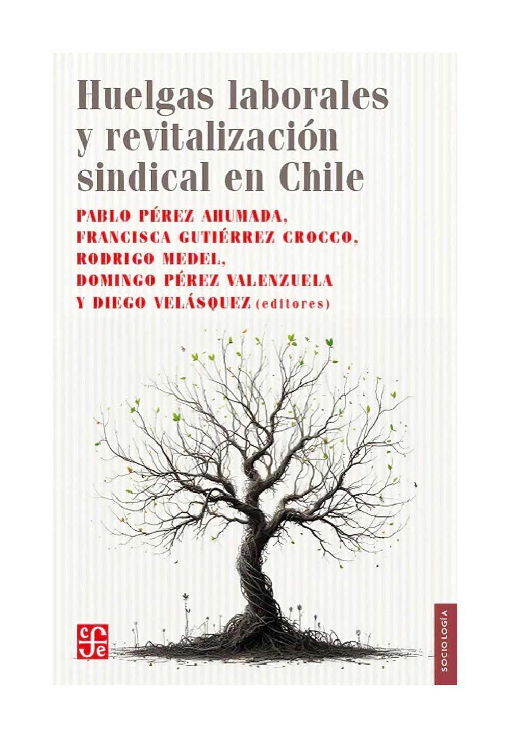 Huelgas Laborales Y Revitalización Sindical En Chile | Pabl-0