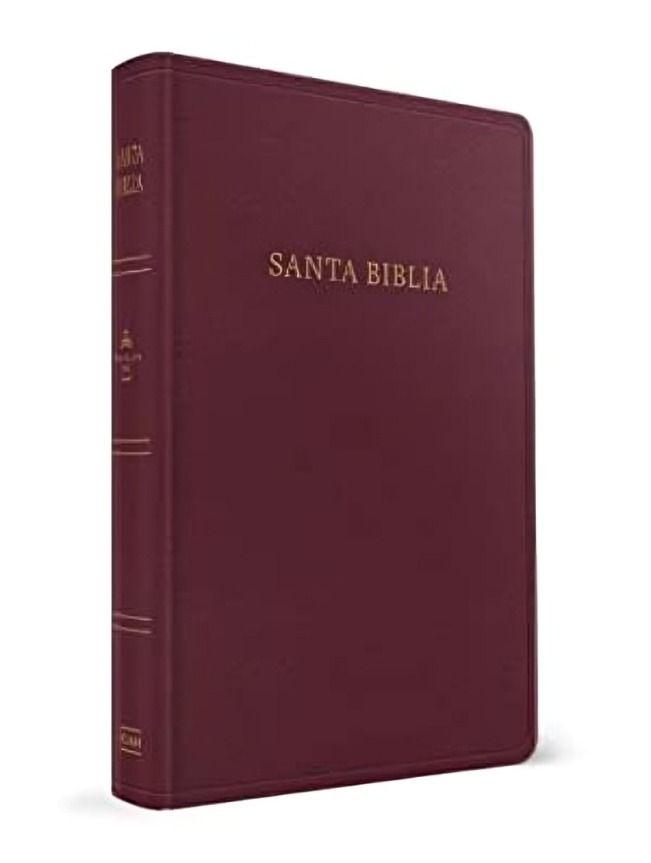 Biblia Reina Valera 1960 Letra Grande Tamaño Manual Borgon-0