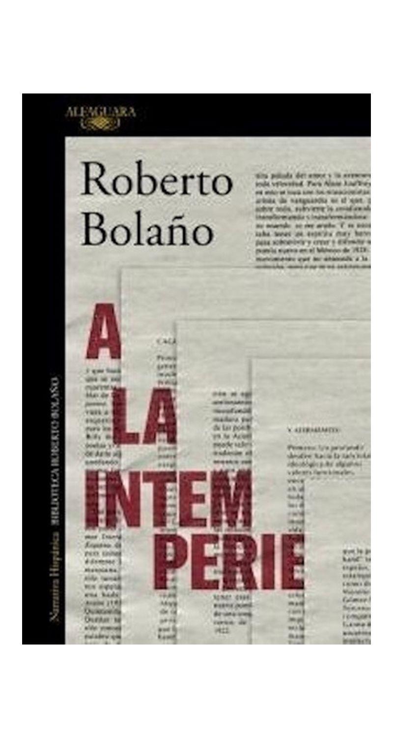 Libro A La Intemperie - Ensayos - -598--1