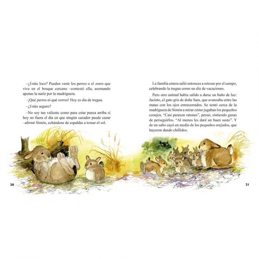 El Cururo Incomprendido Y Otros Cuentos - Alicia Morel-2