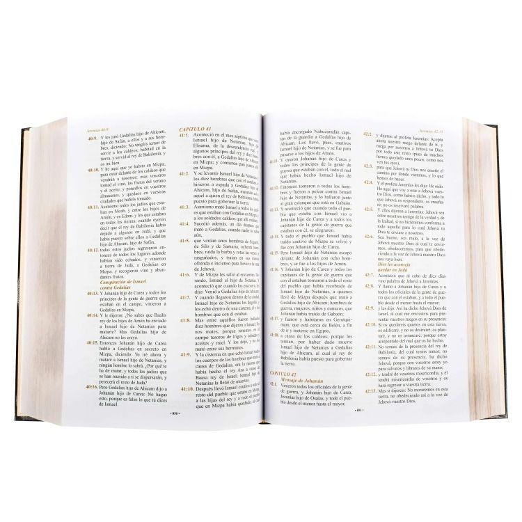 Reina Valera Santa Biblia | Varios Autores | 715-2