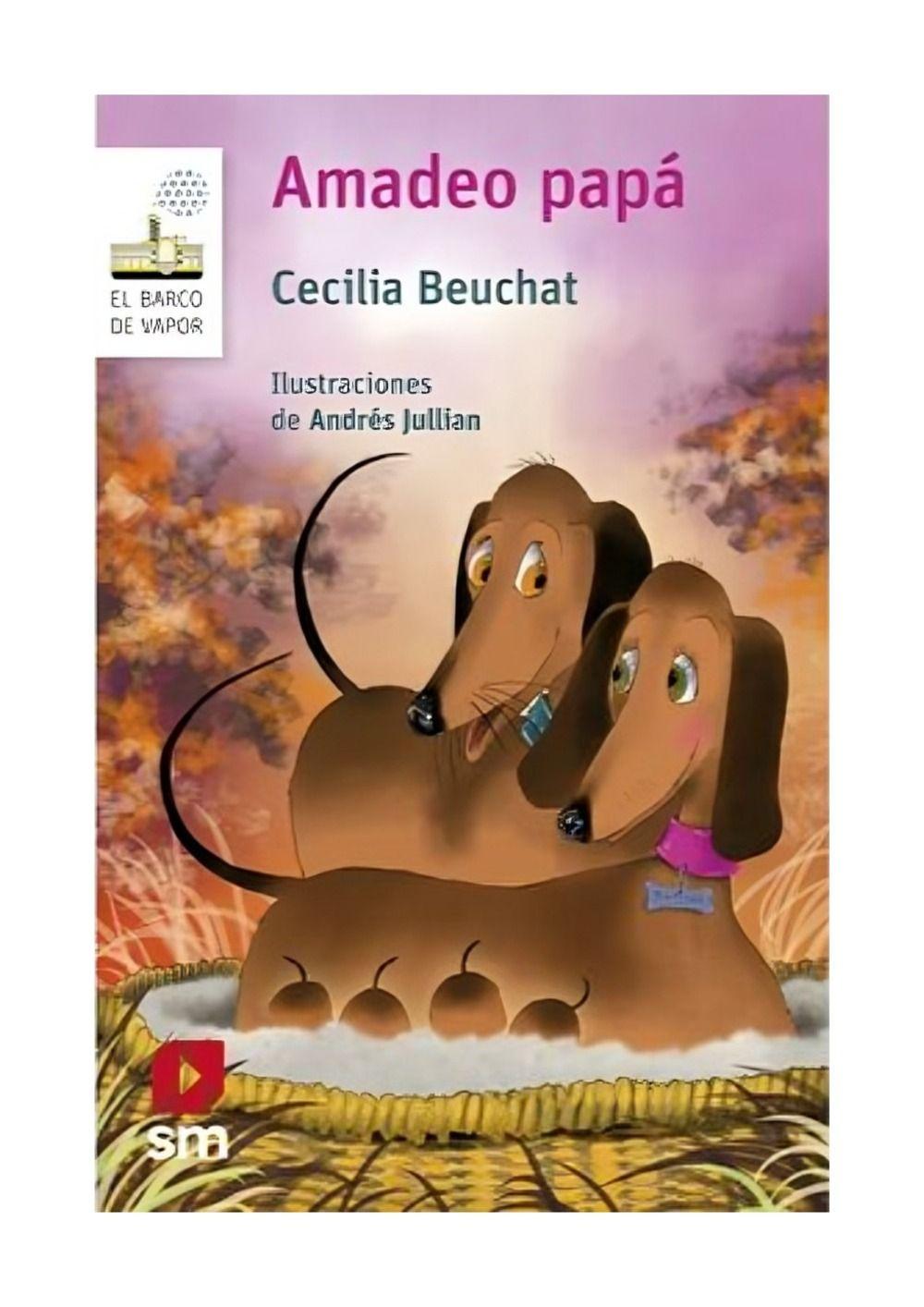 LIBRO AMADEO PAPÁ - EDICIONES SM-0