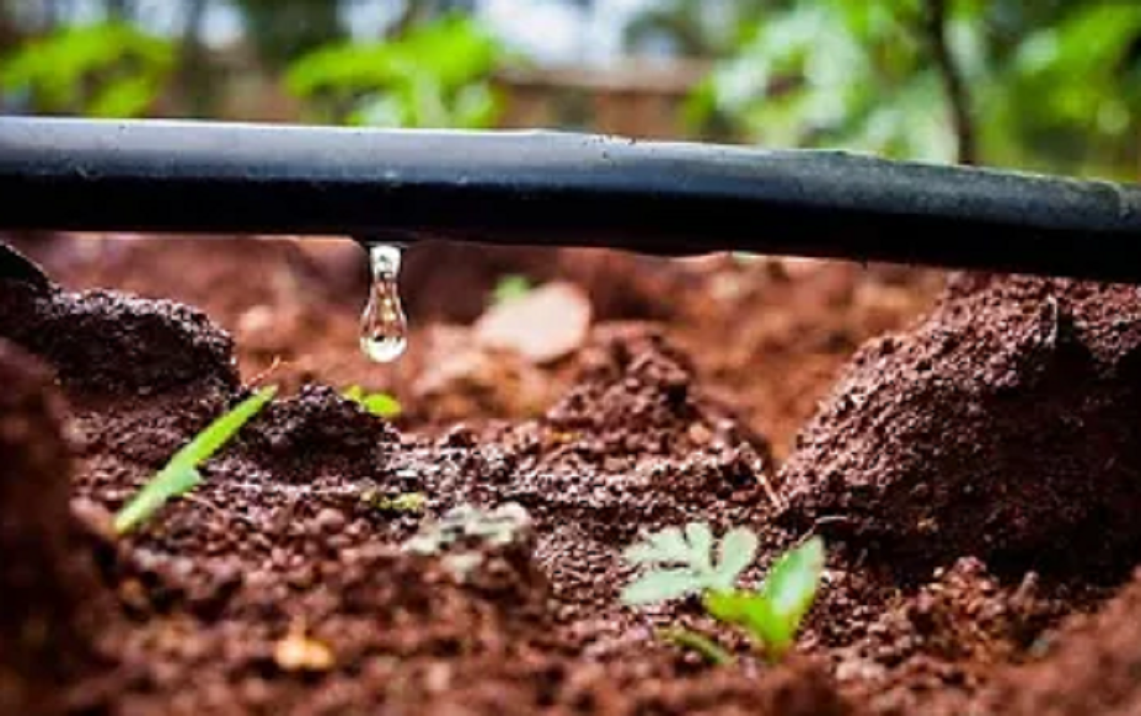 Kit De Riego Por Goteo 500 Metros-1