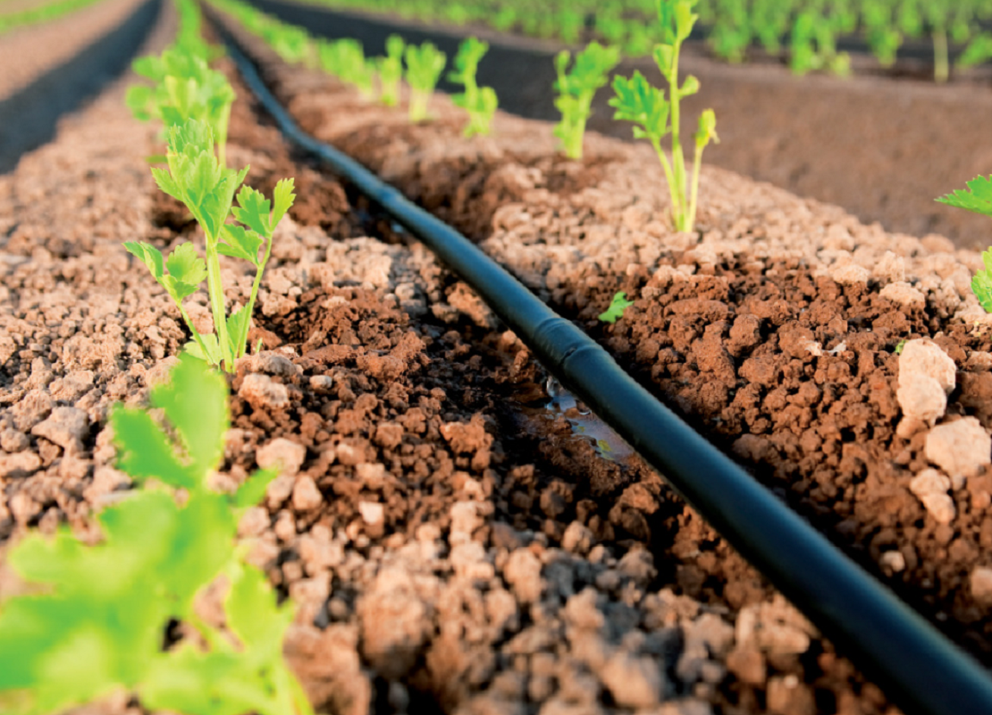 Kit De Riego Por Goteo 500 Metros-3