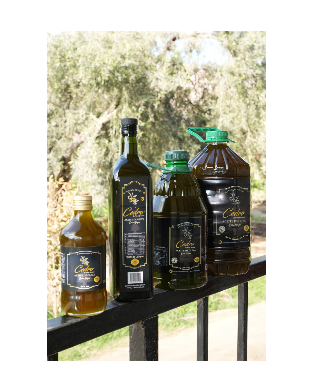 Aceite de Oliva Extra-Virgen Cedro Pack 2 x 2 Litros-2