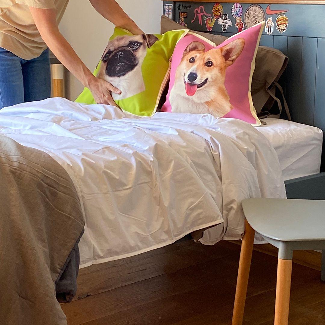 Cojín Color Corgi, 45x45-2